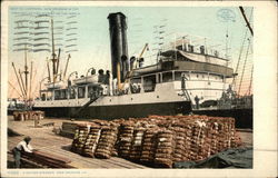 Cotton Steamer Postcard