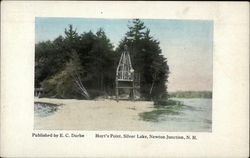 Hoyt's Point at Silver Lake Newton Junction, NH Postcard Postcard Postcard