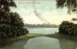 Cove at Jamaica Pond Boston, MA Postcard Postcard Postcard