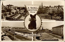 A Small Scotch From Kirkcaldy Scotland Postcard Postcard