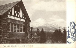 Fuji New Grand Lodge and Cottages Yokohama, Japan Postcard Postcard