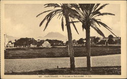 Villas a Salambo Postcard