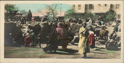 Native Market Cairo, Egypt Africa Postcard Postcard