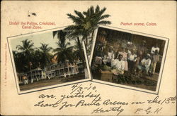 Under the Palms, Cristobal, Canal Zone. Market scene, Colon Panama Postcard Postcard