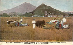 Mexico - Modern American Binders near the Pyramids of Cholula. Mount Popocatepetl in the Distance. Postcard Postcard