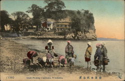 Shell Picking Honmoku Yokohama, Japan Postcard Postcard