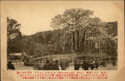 Cherry Blossoms at Mafuyama Park Kyoto, Japan Postcard Postcard