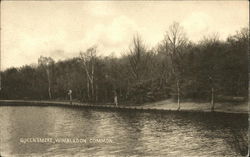 Queensmere, Wimbledon Common UK Postcard Postcard