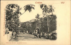 Street Scene Postcard