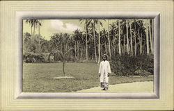 Penang Garden Malaysia Southeast Asia Postcard Postcard