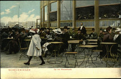 Scheveningen Pier Postcard