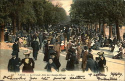 La Grande Allee des Champs-Elysees Postcard