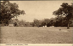 Camping Fields, Gilwell Park Postcard