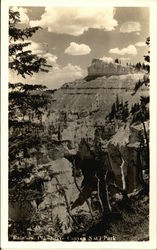 Rainbow Point at Bryce Canyon National Park Postcard