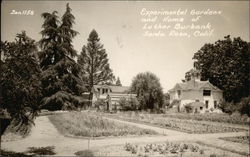 Experimental Gardens and Home of Luther Burbank Postcard