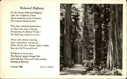 Redwood Highway by Oscar G. Gibson California Postcard Postcard Postcard