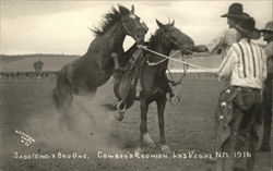 Saddleing a Bad One Las Vegas, NM Postcard Postcard Postcard