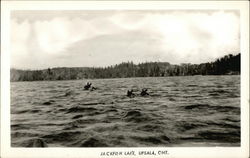 Jackfish Lake Postcard