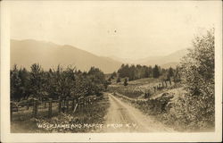 Wolfjaws and Marcy from K.V. Keene Valley, NY Postcard Postcard Postcard