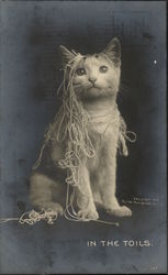 "In the Toils" - Cat Draped in Yarn Cats Postcard Postcard Postcard