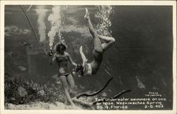 Two Underwater Swimmers on One Air Hose Weeki Wachee, FL Postcard Postcard Postcard