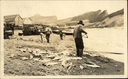 Fishing in River Postcard