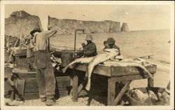 Cleaning Fish on Beach Fishing Postcard Postcard Postcard