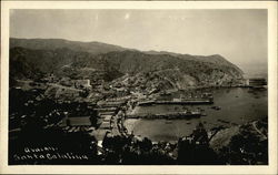 View of Avalon Bay on Santa Catalina Island Postcard