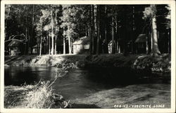 Cabins, Yosemite Lodge Postcard