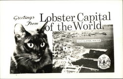 Greetings from the Lobster Capital of the World Postcard