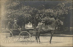 Man in Horse Carriage Men Postcard Postcard Postcard