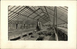 Man in Greenhouse 1907 Men Postcard Postcard Postcard