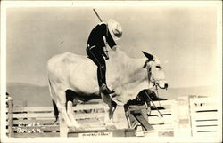 Cowboy anf Rodeo Bull - SIlver Dollar Postcard