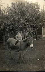 Young Child on a Donkey Children Postcard Postcard Postcard