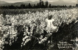 Girl in Field of Gladioli Postcard