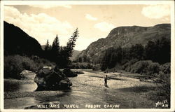 Williams Ranch in Poudre Canyon Postcard