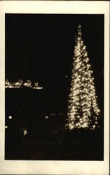 Christmas Tree Lights Postcard