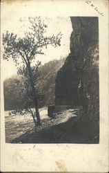 View of River Postcard