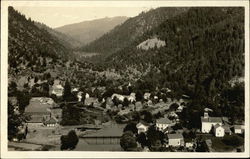 View of Town in Wooded Valley - Idaho? Postcard Postcard Postcard