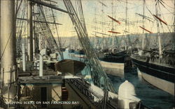 Shipping Scene on San Francisco Bay California Postcard Postcard Postcard