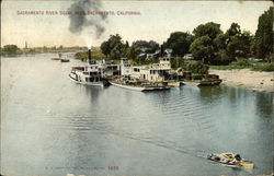 Sacramento River Scene Near Sacramento Postcard