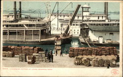 Unloading Cotton at Levee Postcard