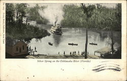 Silver Spring on the Ocklawaha River Florida Postcard Postcard Postcard