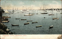 Marblehead Harbor Postcard