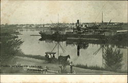 Three Steamers Landing Pugwash, NB Canada New Brunswick Postcard Postcard Postcard