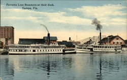 Favorite Line Steamers at their Dock Postcard