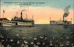 Watching the Pelicans from Steamers "Favorite" and "Manatee" Postcard