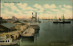 Boats, Waterfront View Postcard