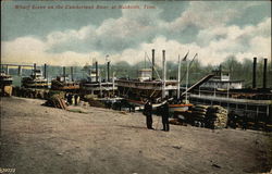 Wharf Scene on the Cumberland River Nashville, TN Postcard Postcard Postcard