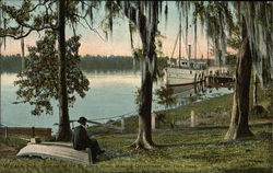 Glimpse of the St. Johns River Showing Government Steamer Fish Hawk Postcard